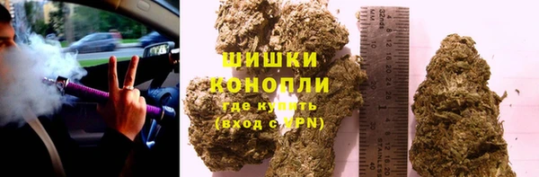 бутират Богданович