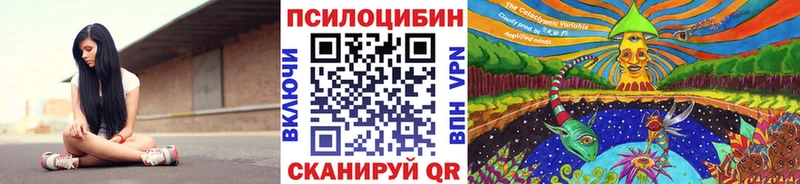 закладки  Балабаново  Галлюциногенные грибы MAGIC MUSHROOMS 